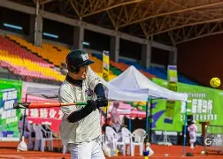 AYX SPORTS-包含板球小组赛掀起高潮，海滨白虎队强势反弹齐鲁天狼队，高压逼抢奏功——韧性与执行并存的词条